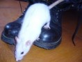 /album/ravena/rav-jpg/